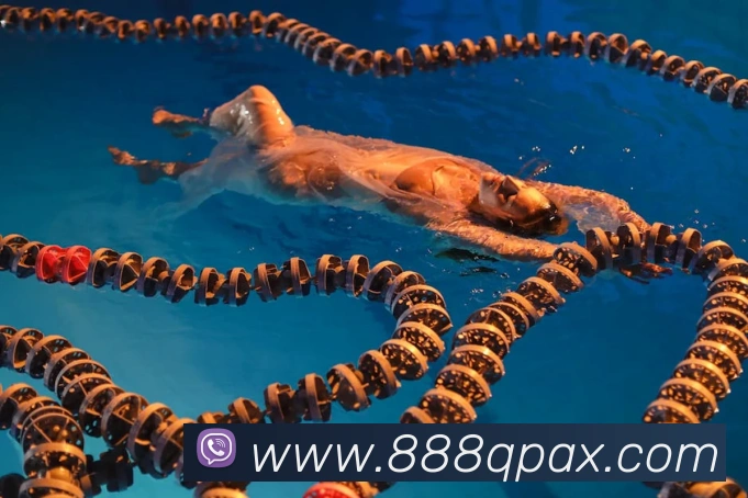 888棋牌全站App 888棋牌全站App